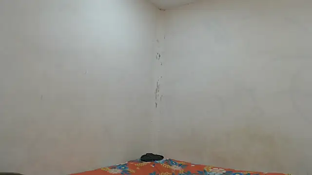 danielitopapuu online show from 11-07-25, 04:23