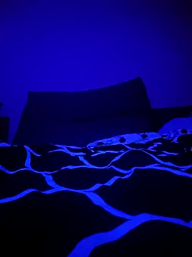 Snapshot of McdyllanXX chatting on 01-11-25, 01:06 McdyllanXX online show from 01-11-25, 01:06