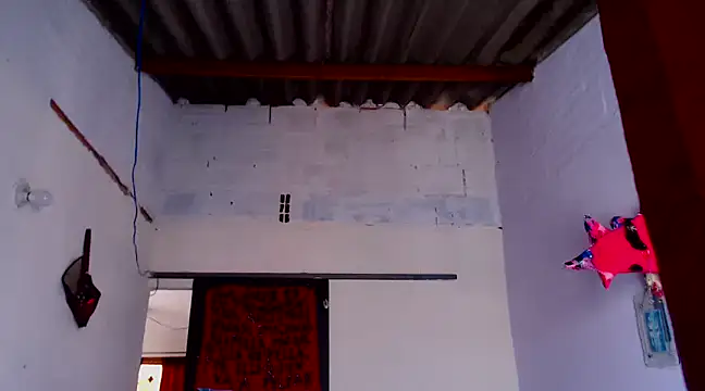 Zafiro subversiva online show from 02-03-25, 02:13