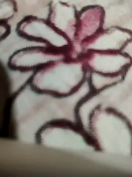 bigboobyrush online show from 04-13-26, 06:24