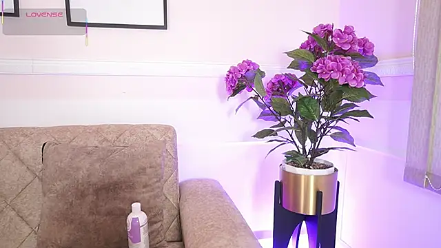 Anybuny online show from 12-18-25, 12:11