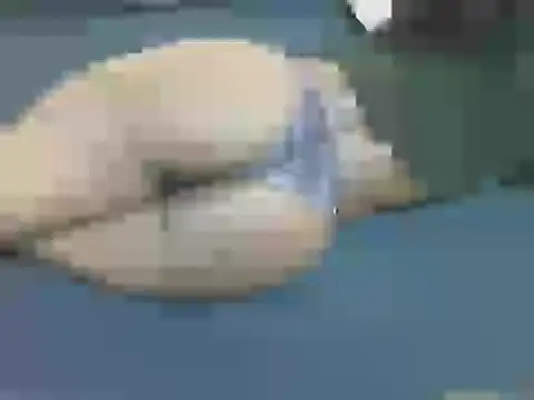 Snapshot of lella-0 chatting on 10-16-25, 09:38 lella-0 online show from 10-16-25, 09:38