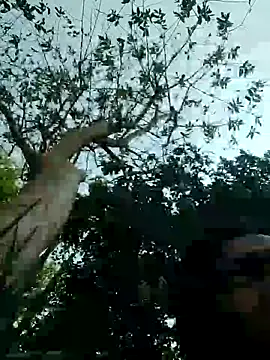 Snapshot of Young_couple143 chatting on 03-11-25, 08:20 Young couple143 online show from 03-11-25, 08:20