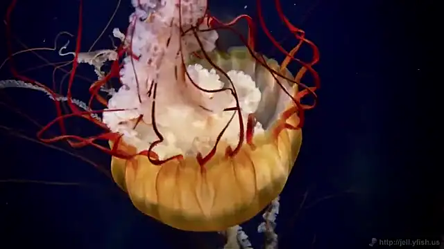 Snapshot of streamy_test12 chatting on 09-16-25, 04:30 streamy test12 online show from 09-16-25, 04:30