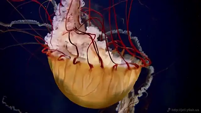 Snapshot of streamy_test12 chatting on 10-27-25, 11:58 streamy test12 online show from 10-27-25, 11:58