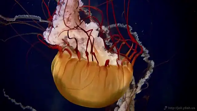 Snapshot of streamy_test13 chatting on 02-03-25, 08:13 streamy test13 online show from 02-03-25, 08:13