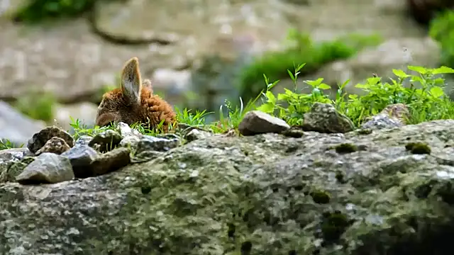 Snapshot of streamy_test13 chatting on 02-19-25, 08:22 streamy test13 online show from 02-19-25, 08:22