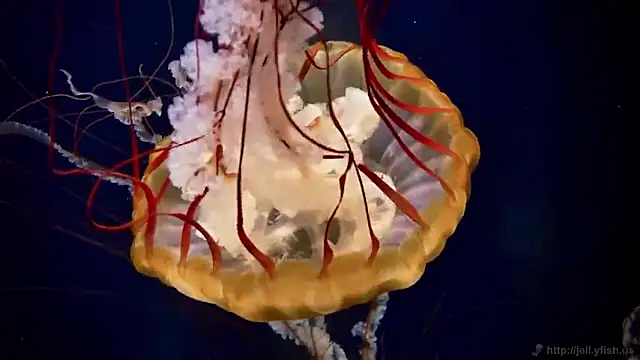 Snapshot of streamy_test15 chatting on 09-18-25, 12:18 streamy test15 online show from 09-18-25, 12:18