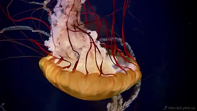 Snapshot of streamy_test15 chatting on 09-19-25, 10:16 streamy test15 online show from 09-19-25, 10:16