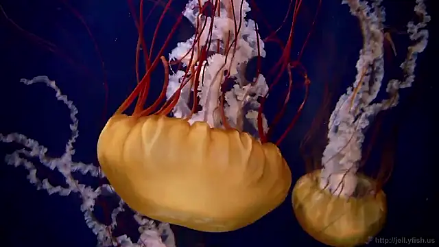 Snapshot of streamy_test15 chatting on 11-12-25, 01:44 streamy test15 online show from 11-12-25, 01:44