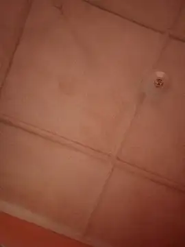 bebsexy online show from 12-14-25, 12:54