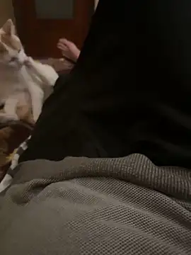 Snapshot of bigboy30X chatting on 10-31-25, 04:19 bigboy30X online show from 10-31-25, 04:19