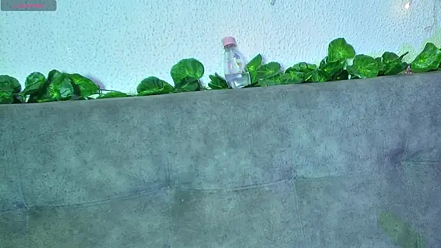 ari kat online show from 12-22-24, 06:28