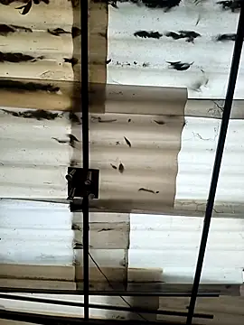 Snapshot of weedmanhot28 chatting on 09-21-25, 12:07 weedmanhot28 online show from 09-21-25, 12:07