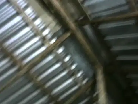 Snapshot of michel_sc chatting on 10-05-25, 10:24 michel sc online show from 10-05-25, 10:24