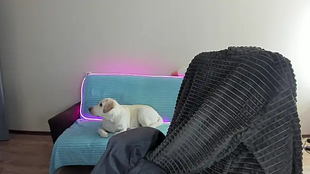 Snapshot of Liam_sexy1 chatting on 12-20-24, 08:06 Liam sexy1 online show from 12-20-24, 08:06