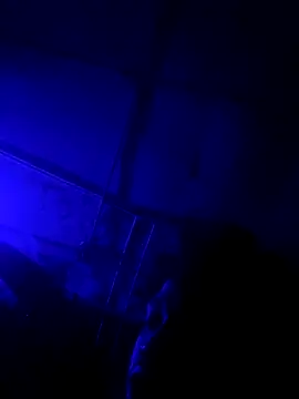 Snapshot of jordontheone1 chatting on 11-05-25, 09:48 jordontheone1 online show from 11-05-25, 09:48