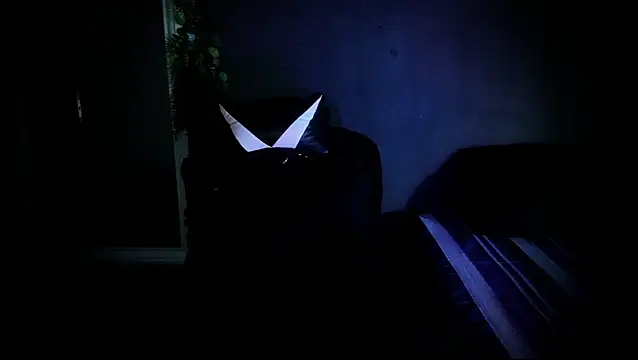 Snapshot of newjeff chatting on 10-01-25, 12:27 newjeff online show from 10-01-25, 12:27