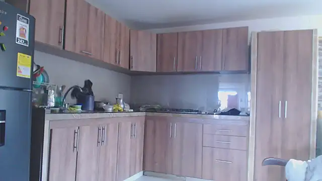 Snapshot of brigitht chatting on 01-21-25, 05:51 brigitht online show from 01-21-25, 05:51