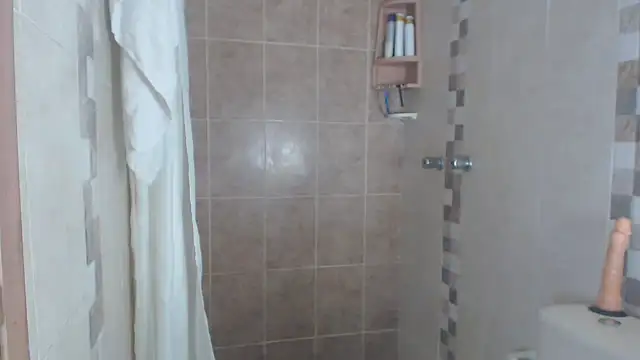 Snapshot of brigitht chatting on 03-11-25, 03:02 brigitht online show from 03-11-25, 03:02