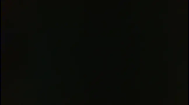 Geisha Seniers online show from 01-14-25, 03:15