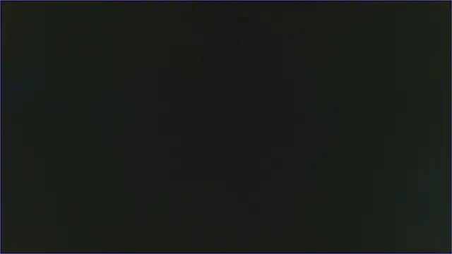 Geisha Seniers online show from 02-13-25, 03:03