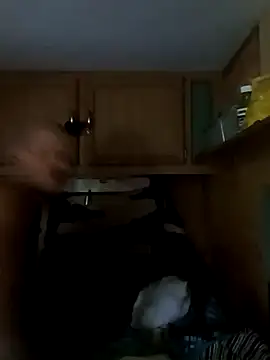 Snapshot of tjmacksjr chatting on 10-04-25, 07:01 tjmacksjr online show from 10-04-25, 07:01