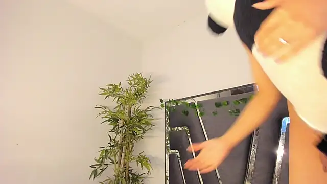 Snapshot of Black_Rose2 chatting on 02-08-25, 11:44 Black Rose2 online show from 02-08-25, 11:44