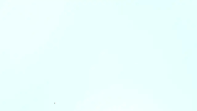  Lakshmi hotx online show from 12-05-24, 12:33