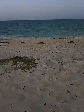 blacks couples online show from 02-03-25, 03:06