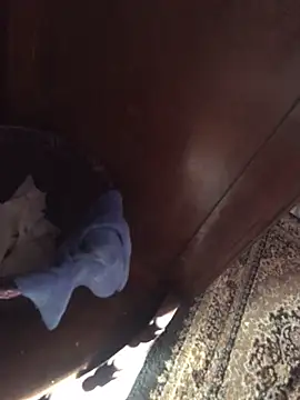 TangoingSorbet online show from 11-02-25, 10:17