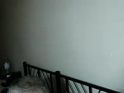 100Tauros online show from 11-02-25, 03:25