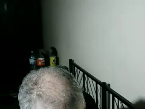 100Tauros online show from 02-05-26, 10:36