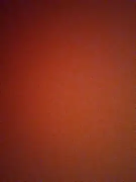 mendelicius online show from 01-11-25, 12:18