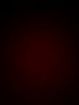 mendelicius online show from 02-25-25, 11:19