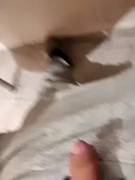 skrigul12 online show from 12-14-24, 10:24