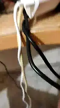 skrigul12 online show from 12-28-24, 01:38