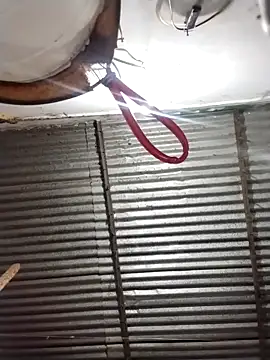 Andreita 95 online show from 03-21-26, 11:04