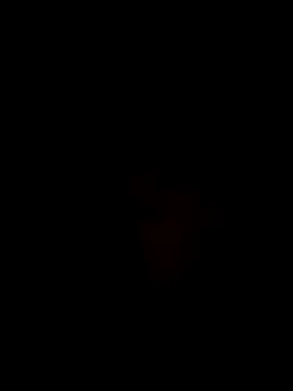 Ner0924 N online show from 12-02-24, 04:31