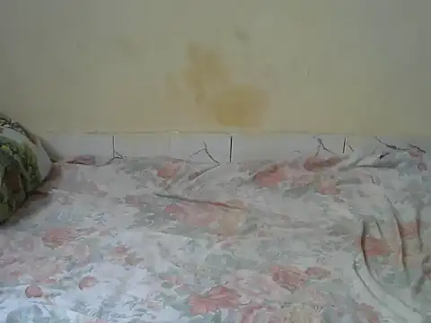 Zenath  online show from 02-27-26, 08:58