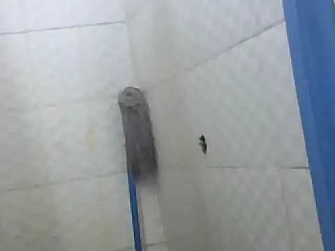 Bootiq online show from 04-22-26, 11:01