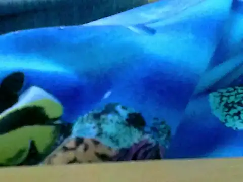 zhan7965 online show from 12-30-24, 01:03