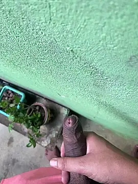 king cum  online show from 12-26-24, 12:16