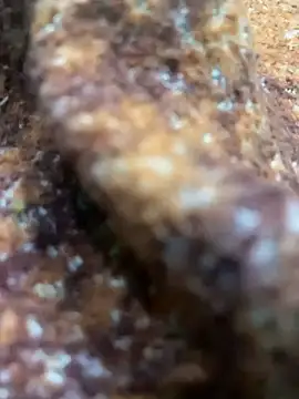 king cum  online show from 02-13-25, 10:44