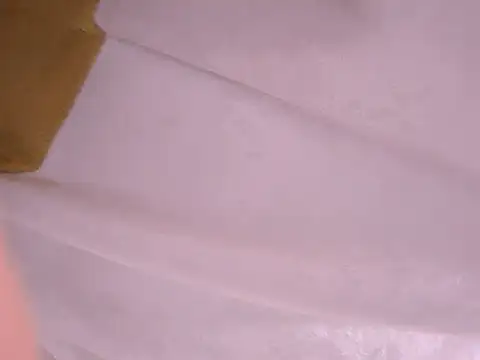 tatsumi nao online show from 01-22-25, 11:32