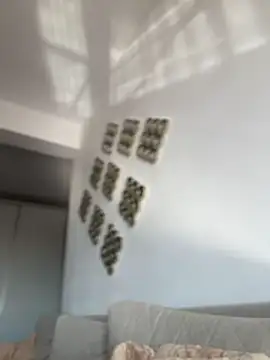 RaquelleDevon online show from 04-23-26, 06:14