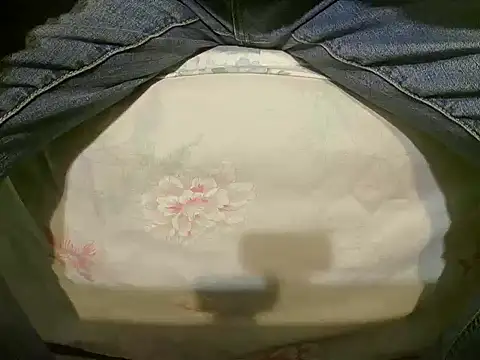 Tiger202441 online show from 12-19-24, 10:21