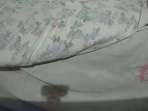 Tiger202441 online show from 12-20-24, 10:32