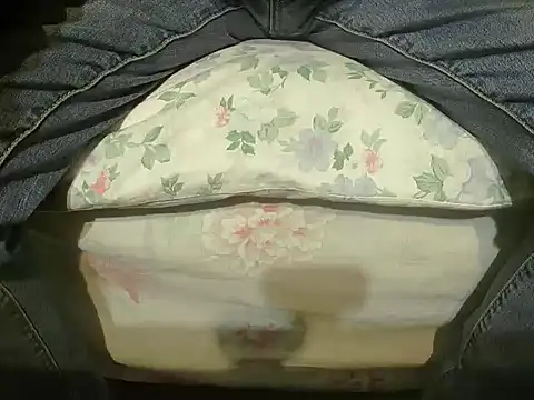 Tiger202441 online show from 12-27-24, 10:37