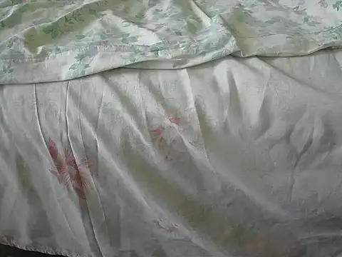 Tiger202441 online show from 12-31-24, 12:04